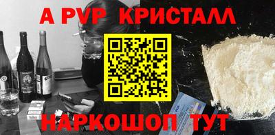 a pvp Кингисепп