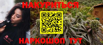 a pvp Кингисепп