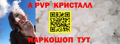 a pvp Кингисепп